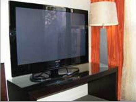 Terra Vive & 5* Christchurch